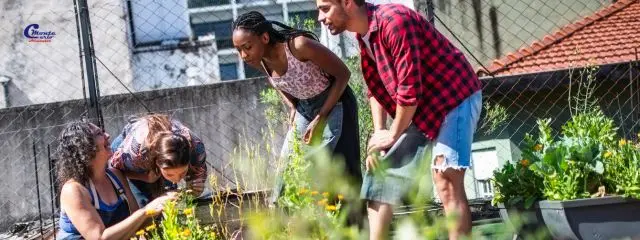 O que é agricultura urbana e sua importância para as cidades grandes como São Paulo