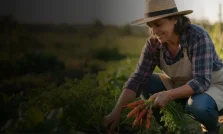 Rastreabilidade no foodservice: porque conhecer a origem dos produtos e escolher fornecedores confiáveis protege sua operação