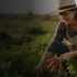 Rastreabilidade no foodservice: porque conhecer a origem dos produtos e escolher fornecedores confiáveis protege sua operação
